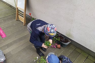 Obrázek č.4