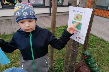 Obrázek č.101