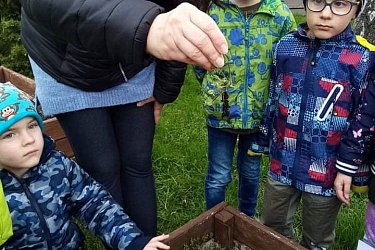 Obrázek č.107