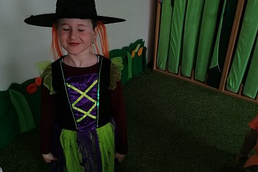 Obrázek č.31