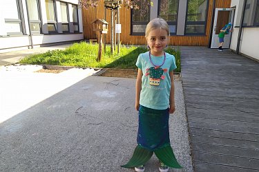 Obrázek č.29