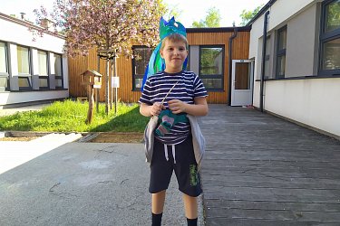 Obrázek č.42
