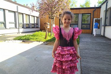 Obrázek č.50