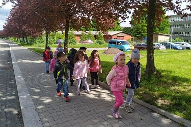 Obrázek č.24