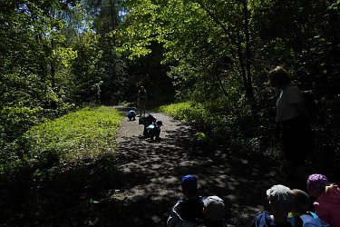 Obrázek č.15