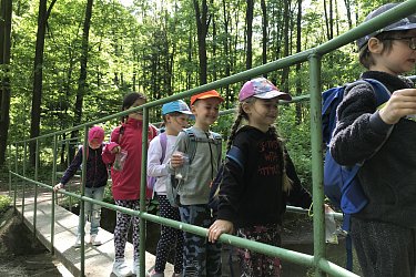 Obrázek č.73