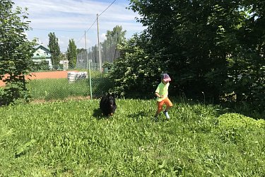 Obrázek č.15