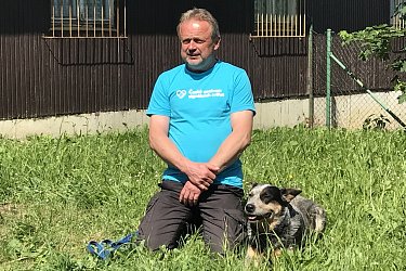 Obrázek č.33