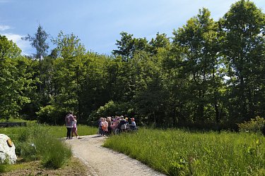 Obrázek č.31