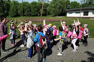 Obrázek č.93