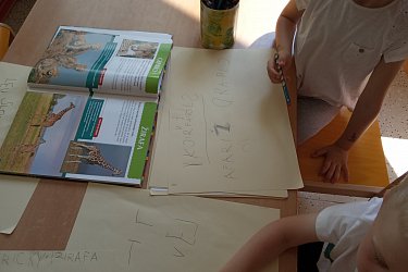 Obrázek č.61