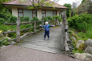 Obrázek č.39