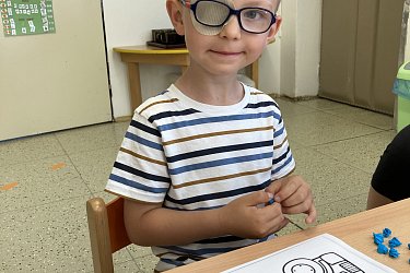 Obrázek č.199