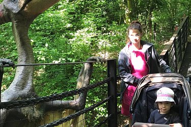 Obrázek č.85