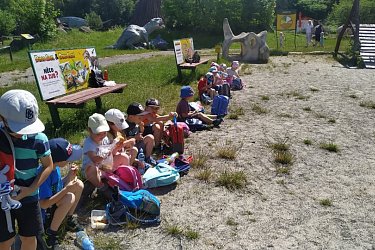 Obrázek č.15