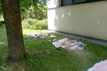 Obrázek č.24