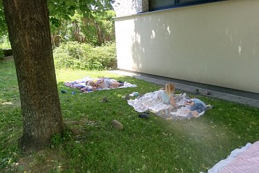 Obrázek č.25