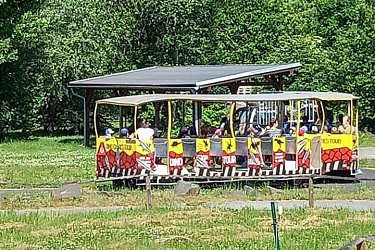 Obrázek č.75