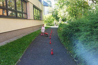 Obrázek č.45