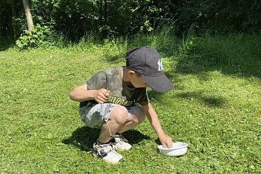 Obrázek č.31