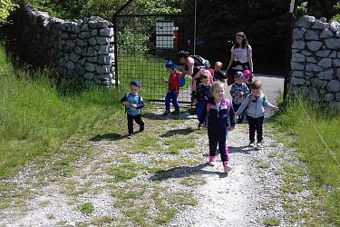 Obrázek č.15