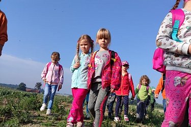 Farma Lička - Kopretiny a Zvonky