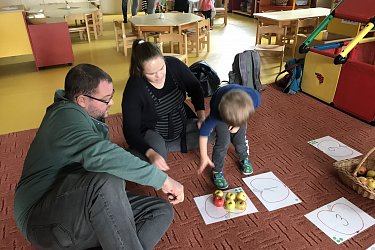 Obrázek č.33
