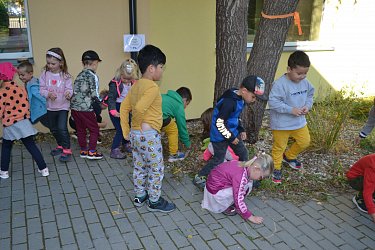 Obrázek č.2