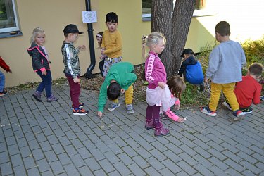 Obrázek č.5