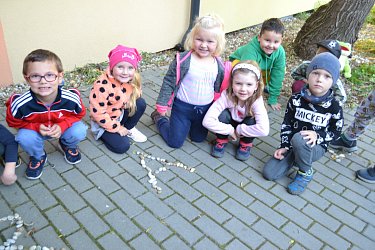 Obrázek č.15