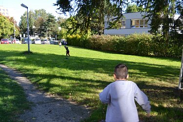 Obrázek č.77